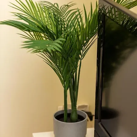 Micro Miaczynska By Renters Apartment *