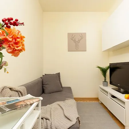 Micro Miaczynska By Renters *