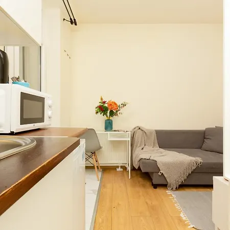 Micro Miaczynska By Renters